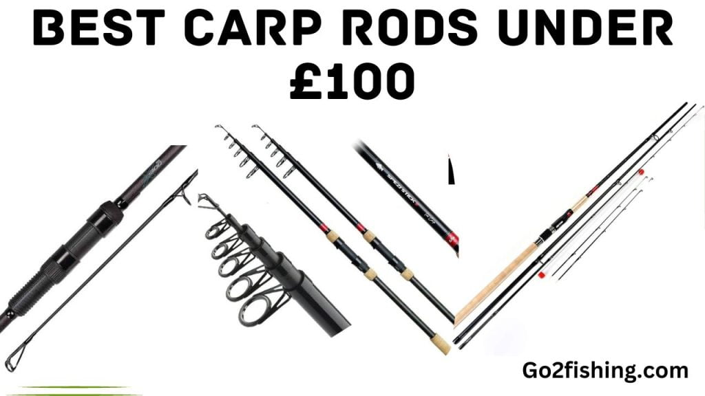 Best Carp Rods Under £100: Top Picks For Budget Anglers