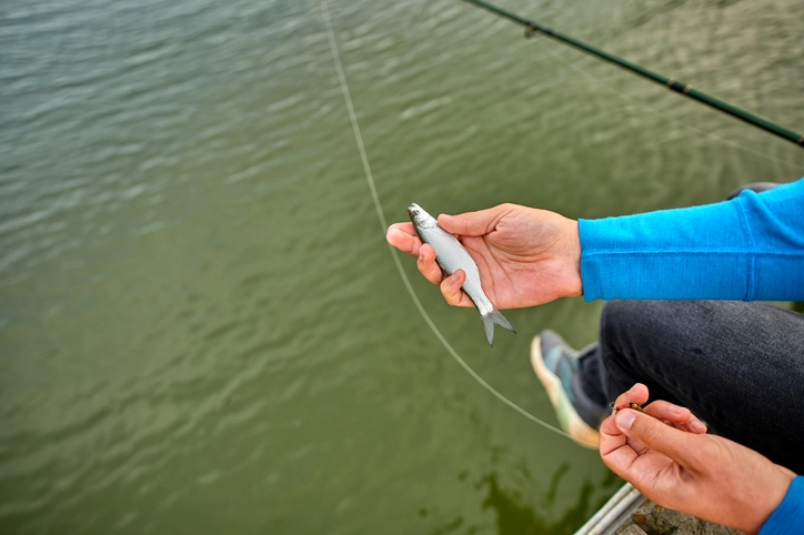 Crappie Fishing Mastery:5 Unconventional Baits & Techniques for Success