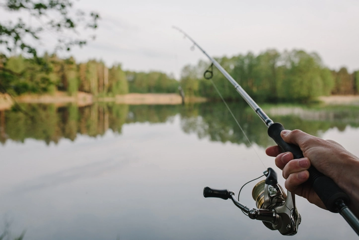 Selecting the Best Fishing Rods for Novice Anglers