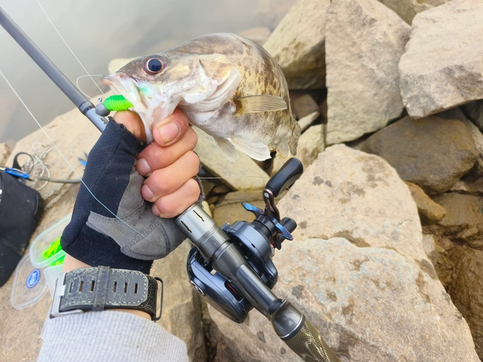 Crappie Fishing with Jigs 101: Selecting the Perfect Lure