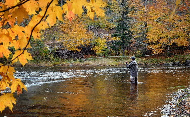 Crappie Fishing Mastery: 5 Steps to Master Fly Fishing