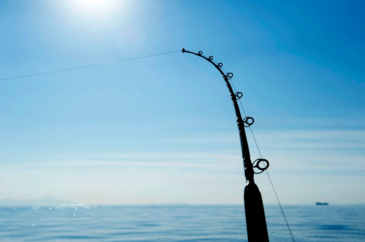 Fishing Rods 101: Length, Power, Action Made Easy