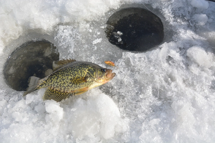 Crappie fishing on ice