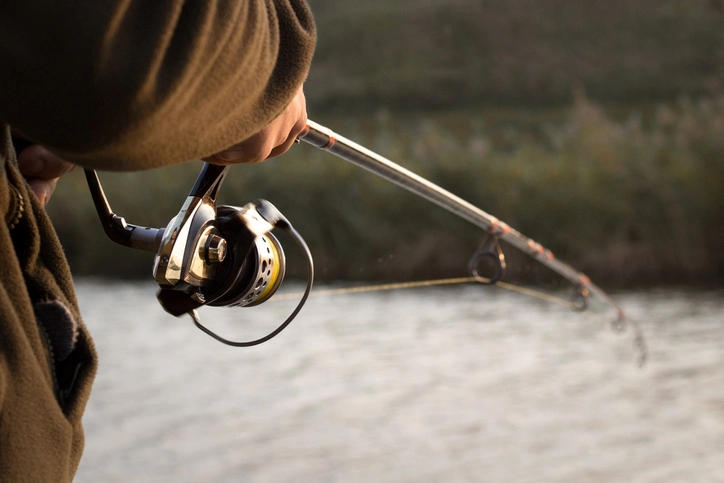 Catfish Delight: Discover the Top Fishing Rods of 2024