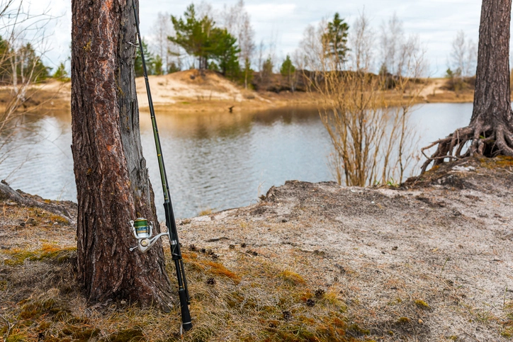 Essential Walleye Fish Licensing: The Importance