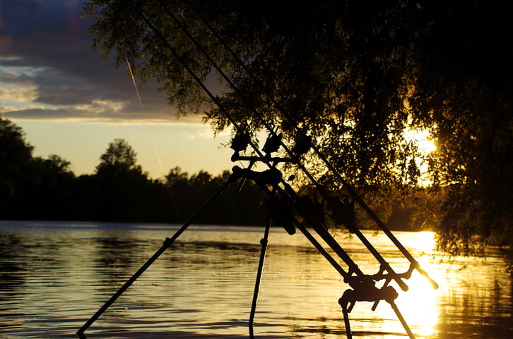 Catfish Triumph: Must-Have Gears for Maximum Catching Success