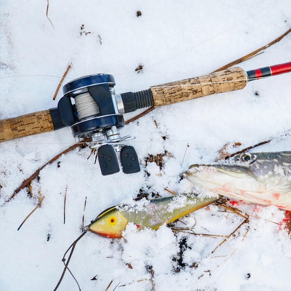 Walleye Fish: Excellent Baits and Lures Guide