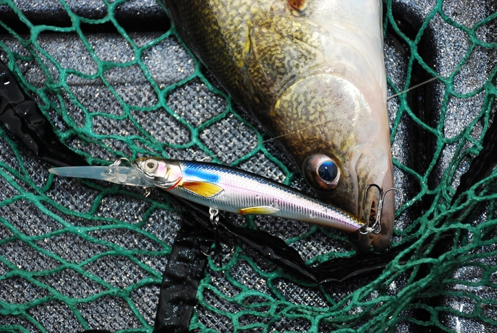 Walleye Lures Magic: Supercharge Your Fishing Game