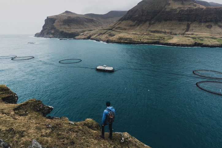 How to Find the Perfect Walleye Fish Spots: Expert Tips for Beginners