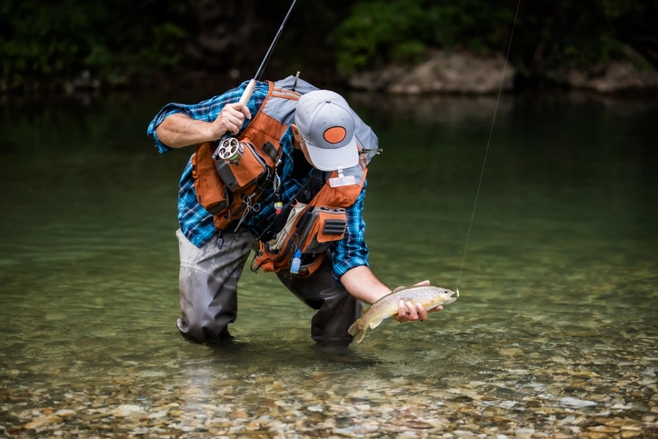 Proven Insights on Walleye Fish Behavior: Seasonal Fishing Guide