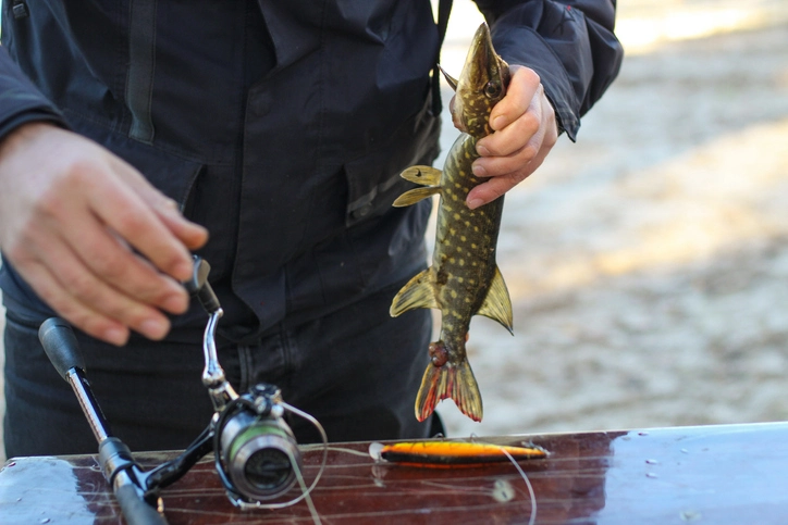 Pike Fish Mastery: Building Your Ultimate Fishing Arsenal