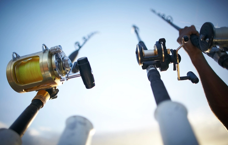 Mastering Walleye Fishing Tournaments: A Beginner's Winning Strategy