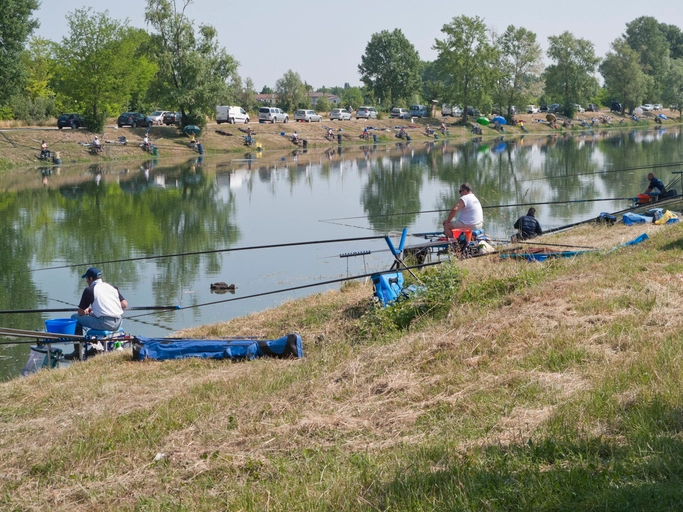 Walleye Fish Tournaments: How Anyone Can Join and Master the Game